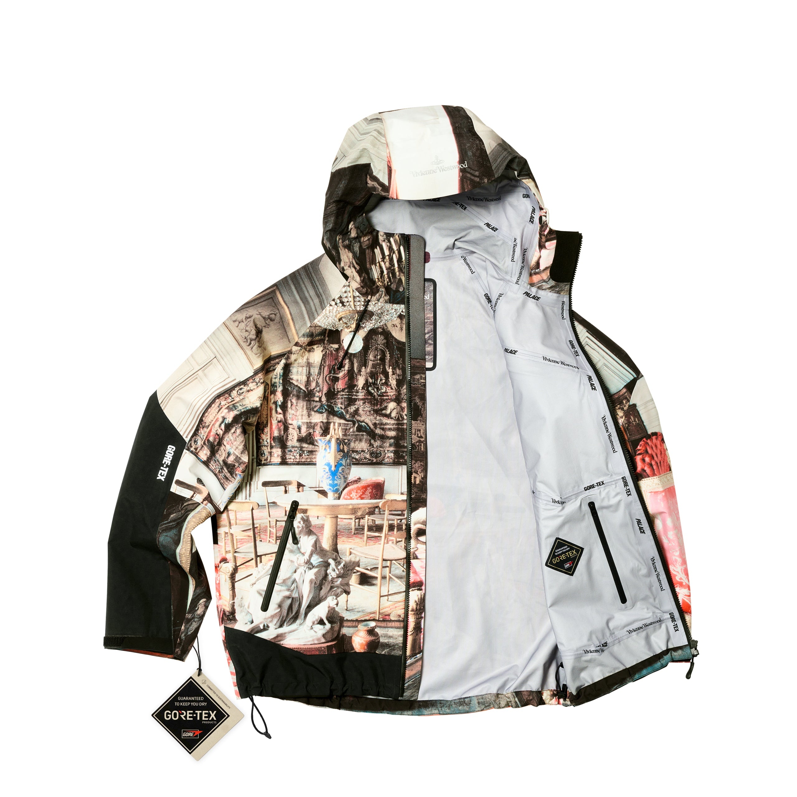 PALACE PALACE VIVIENNE WESTWOOD GORE-TEX JACKET COLOUR PRINT
