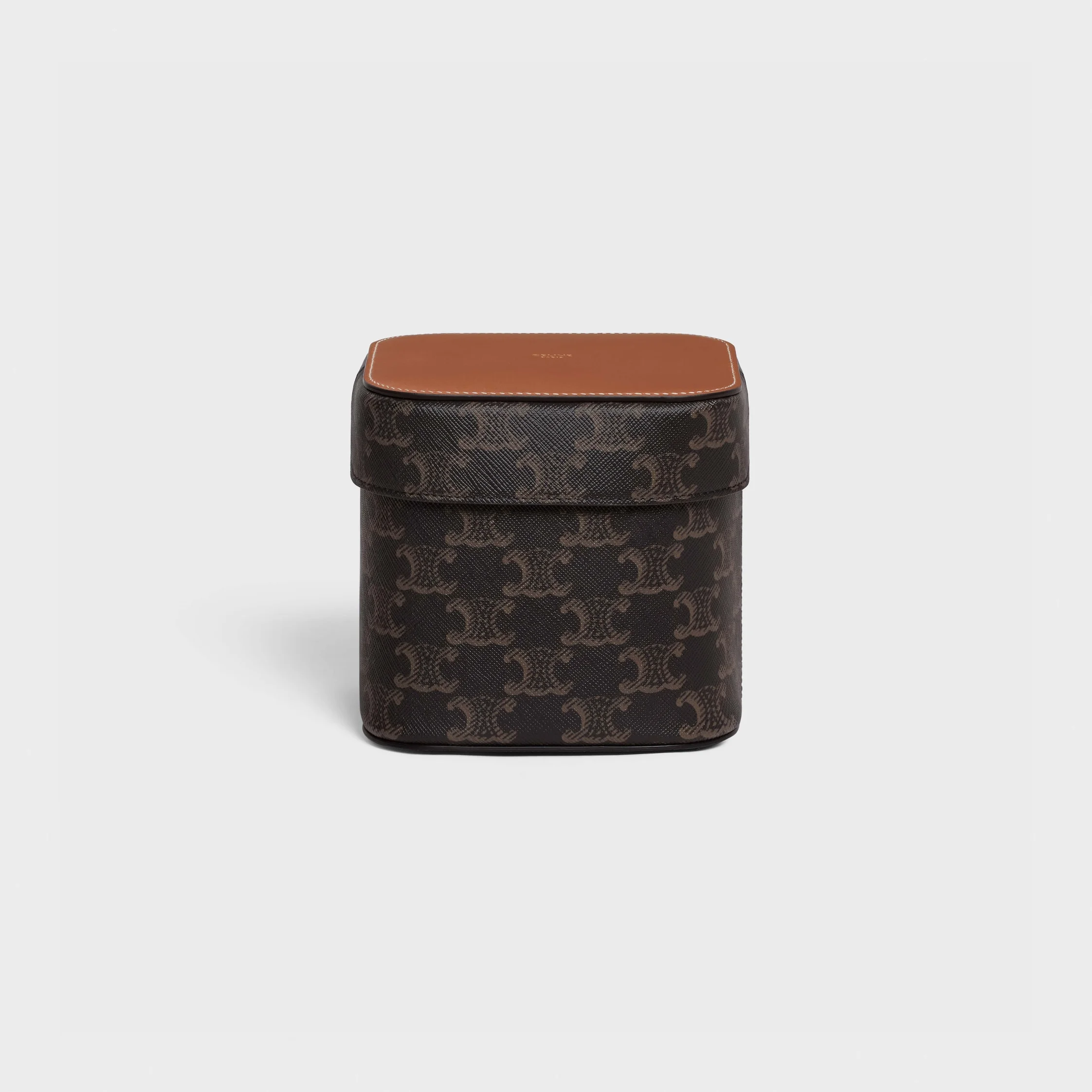 Medium Box in Triomphe Canvas and Calfskin - 1