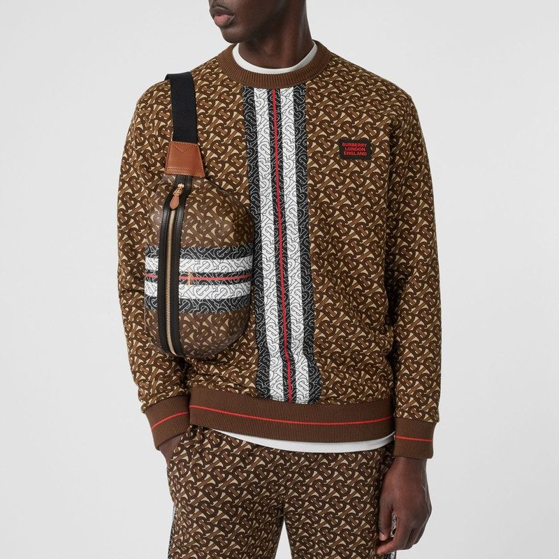 Medium Monogram Stripe E-canvas Bum Bag 4