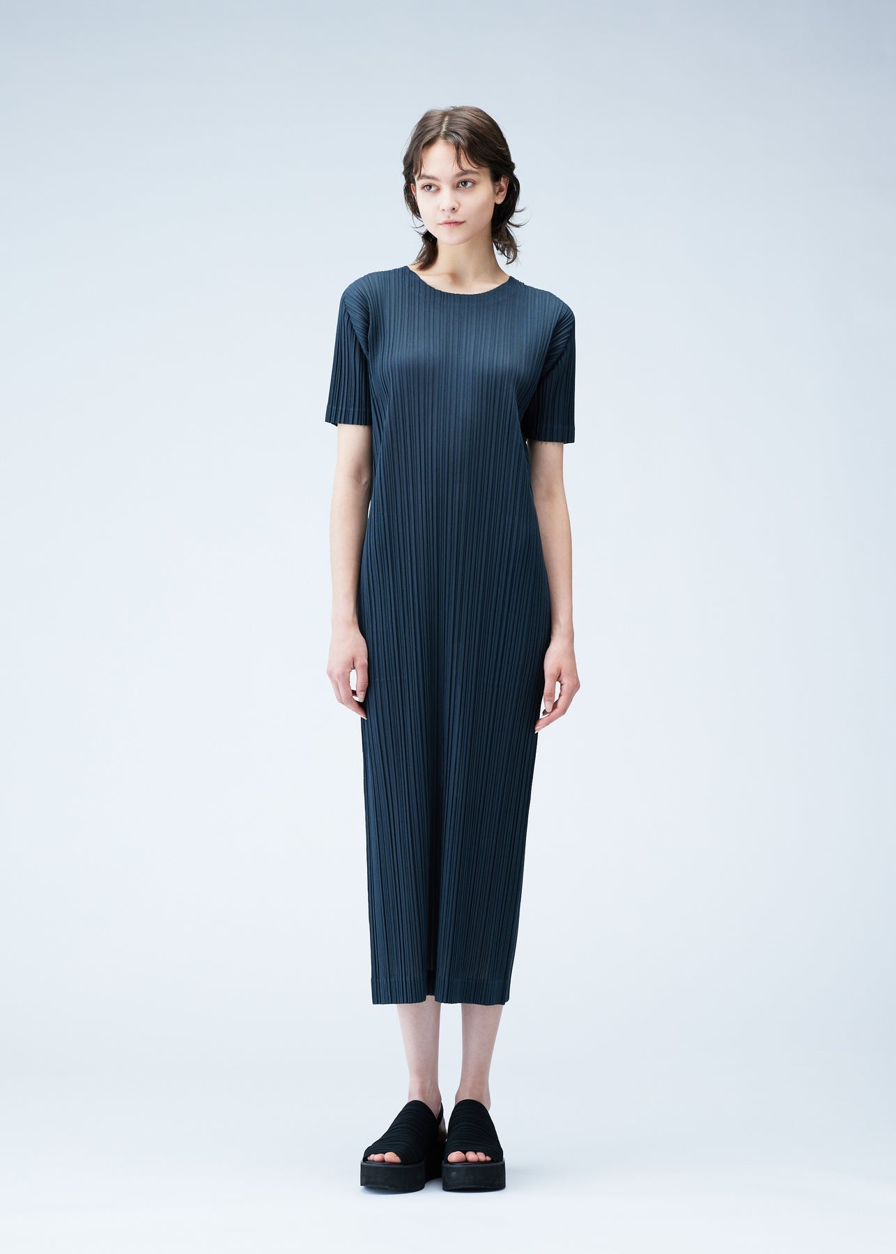 RAMIE PLEATS DRESS - 2