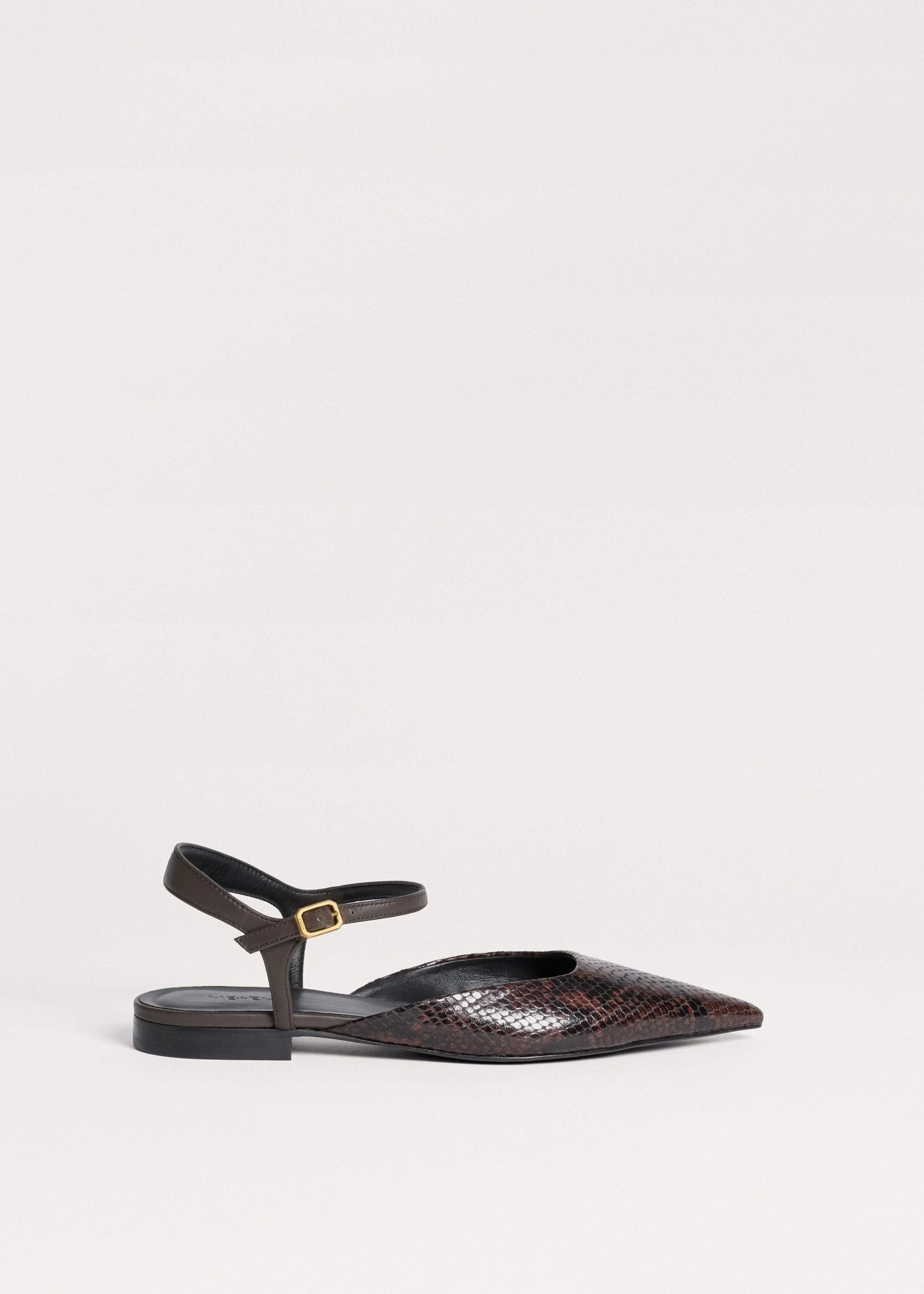 Point Toe Flat - 1