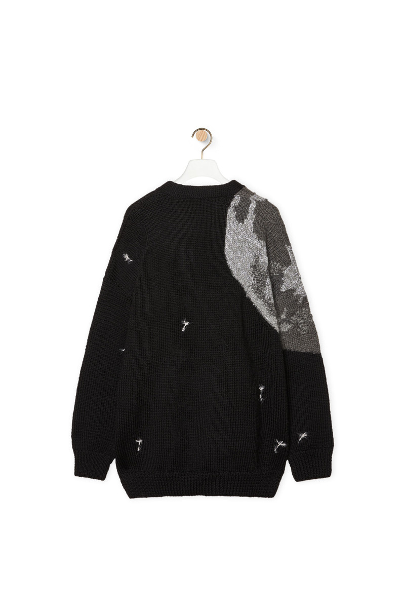 Loewe Cardigan in wool outlook