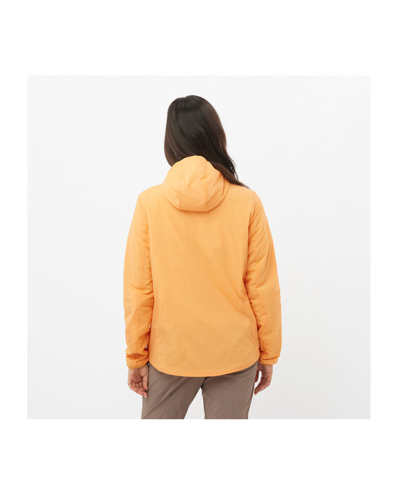 SALOMON MOUNTAIN FLEX HD outlook