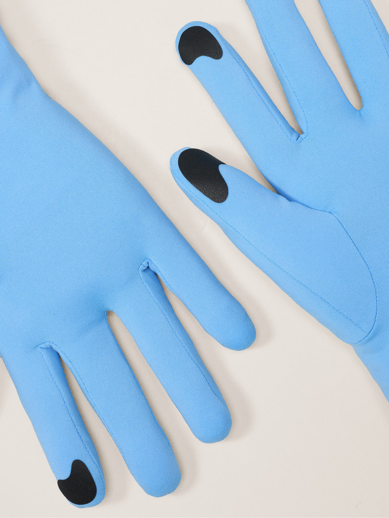 Arc'teryx Rho Glove outlook