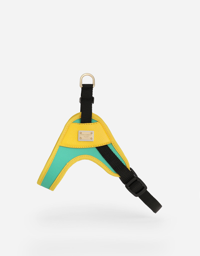 Dolce & Gabbana Dog harness outlook