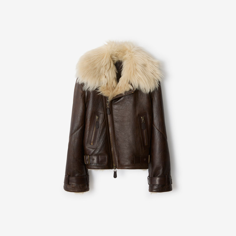 Cropped Shearling Aviator Jacket 1