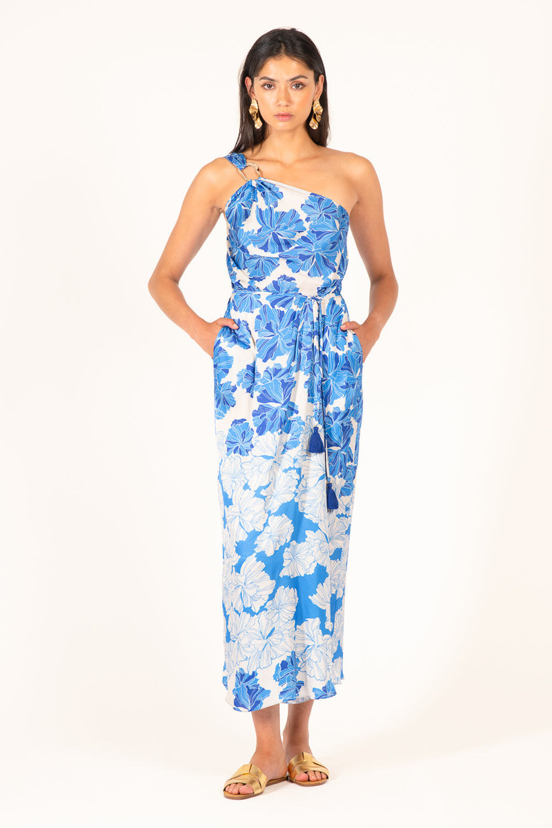 Long Dress Fanny - Blue Flower Bunch 3