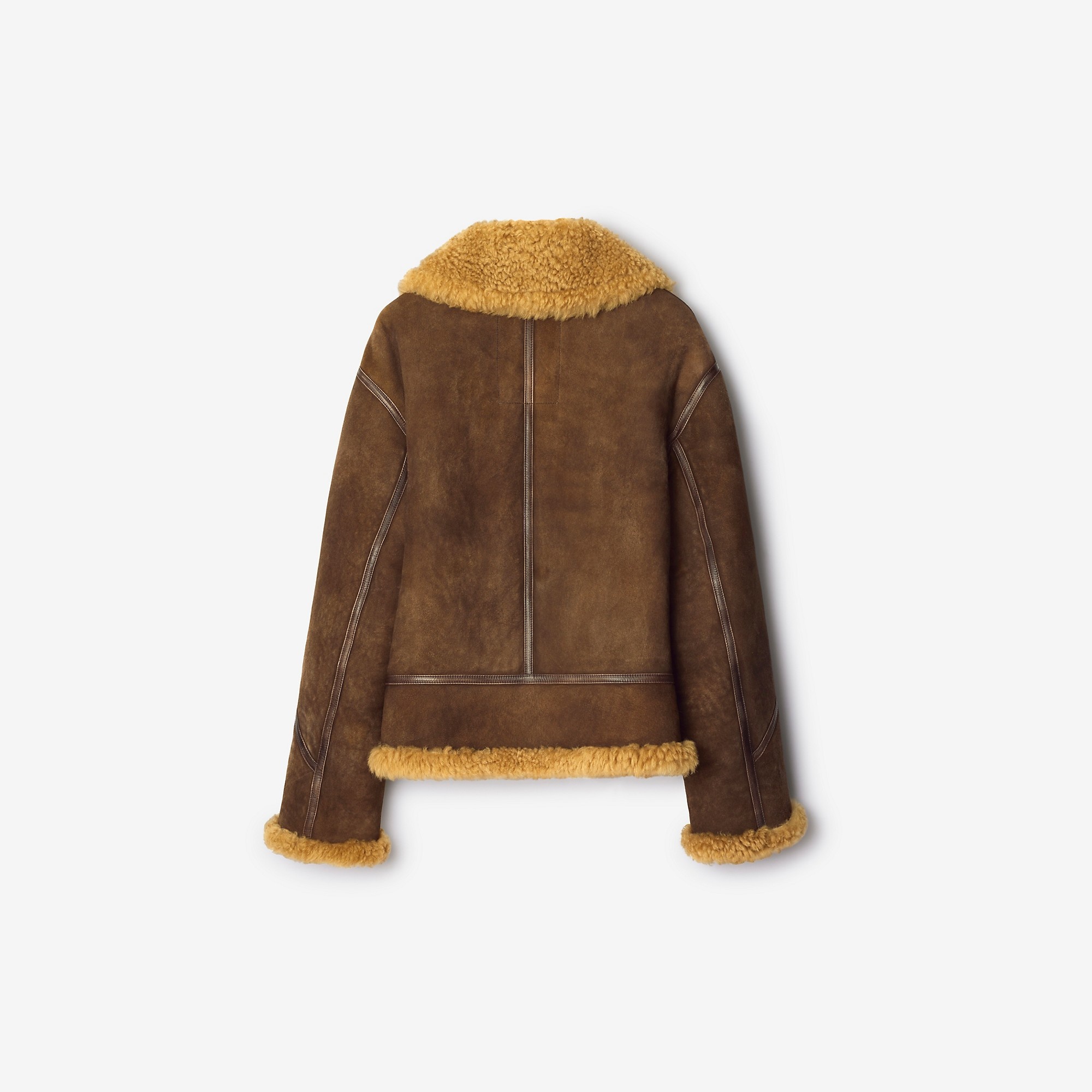 Shearling Aviator Jacket - 5