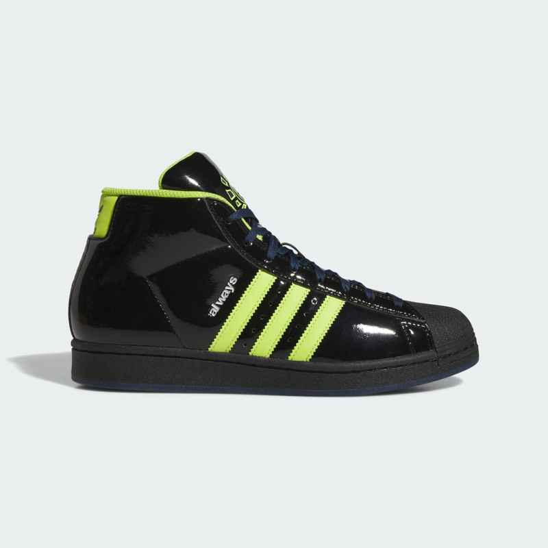 Pro Model ADV x Always Shoes - 1
