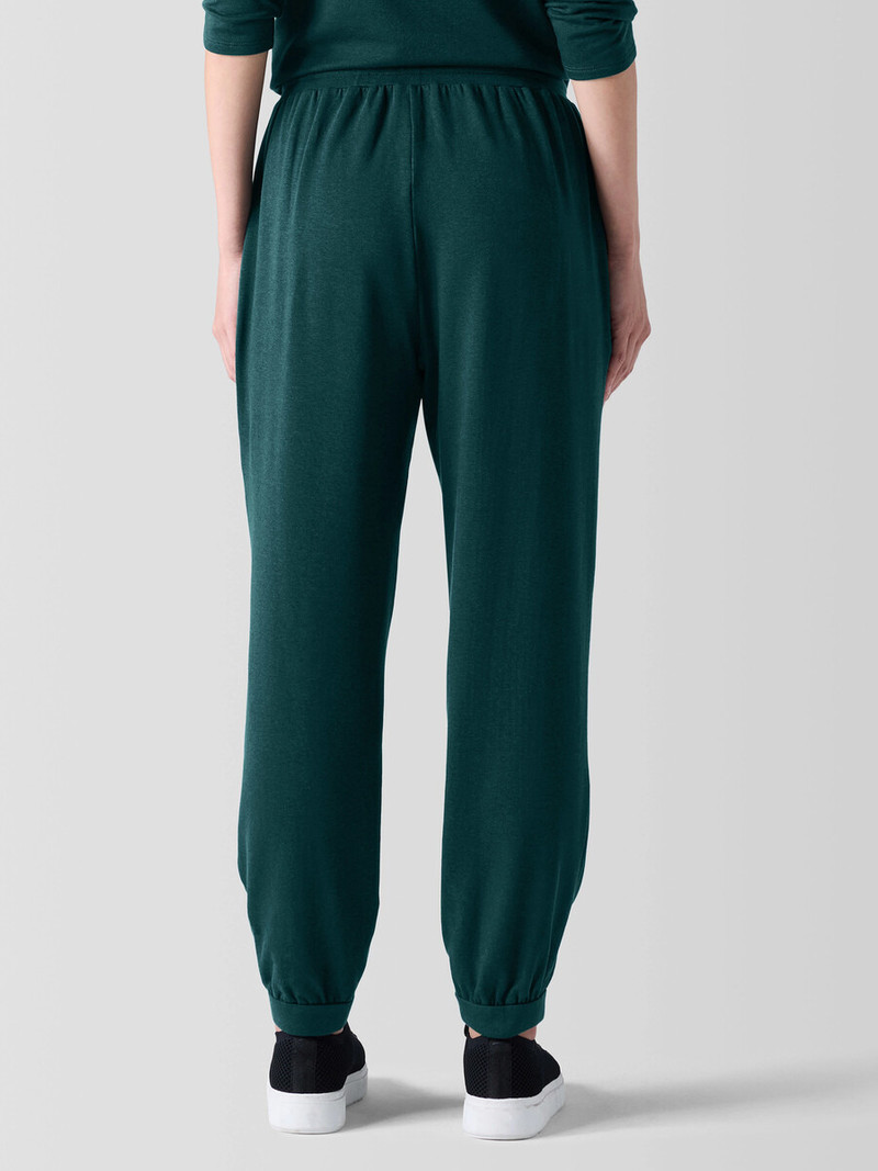 Cozy Brushed Terry Hug Jogger Pant 4