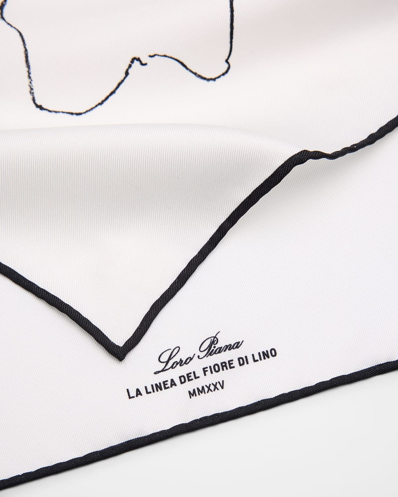 Loro Piana Linea Del Fiore Di Lino Silk Scarf outlook
