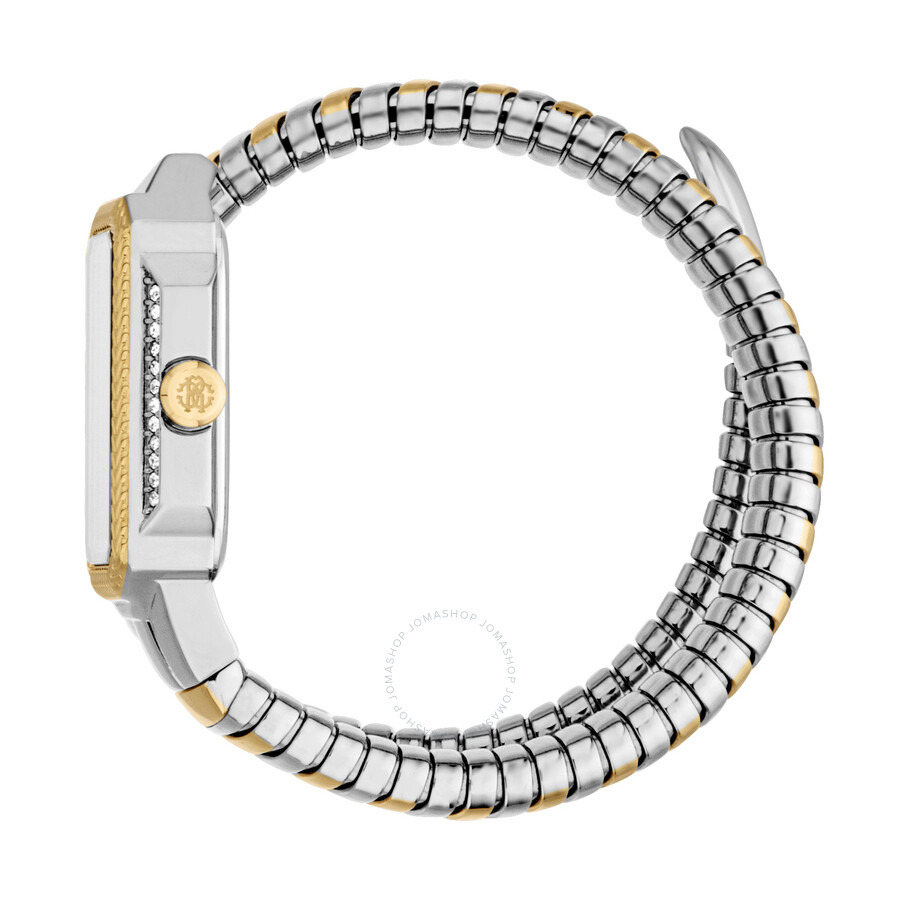 Roberto Cavalli Vera Silver-tone Dial Ladies Watch RC5L115M0065 - 3
