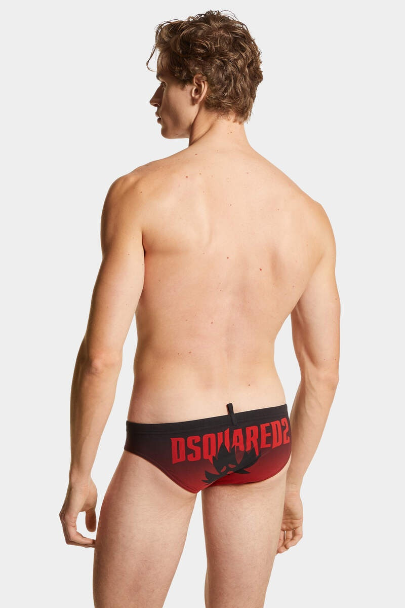 SWIM BRIEF 4