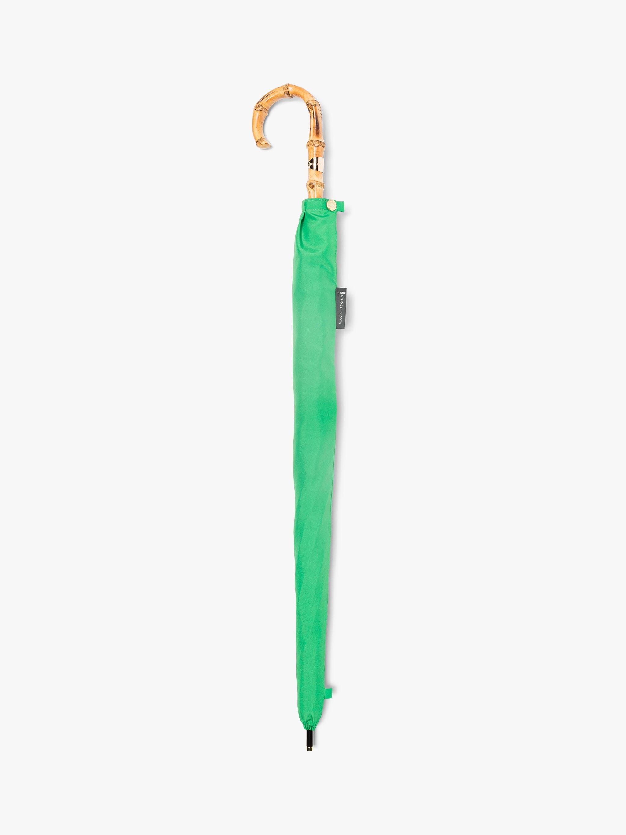 HERIOT APPLE GREEN STICK UMBRELLA - 4