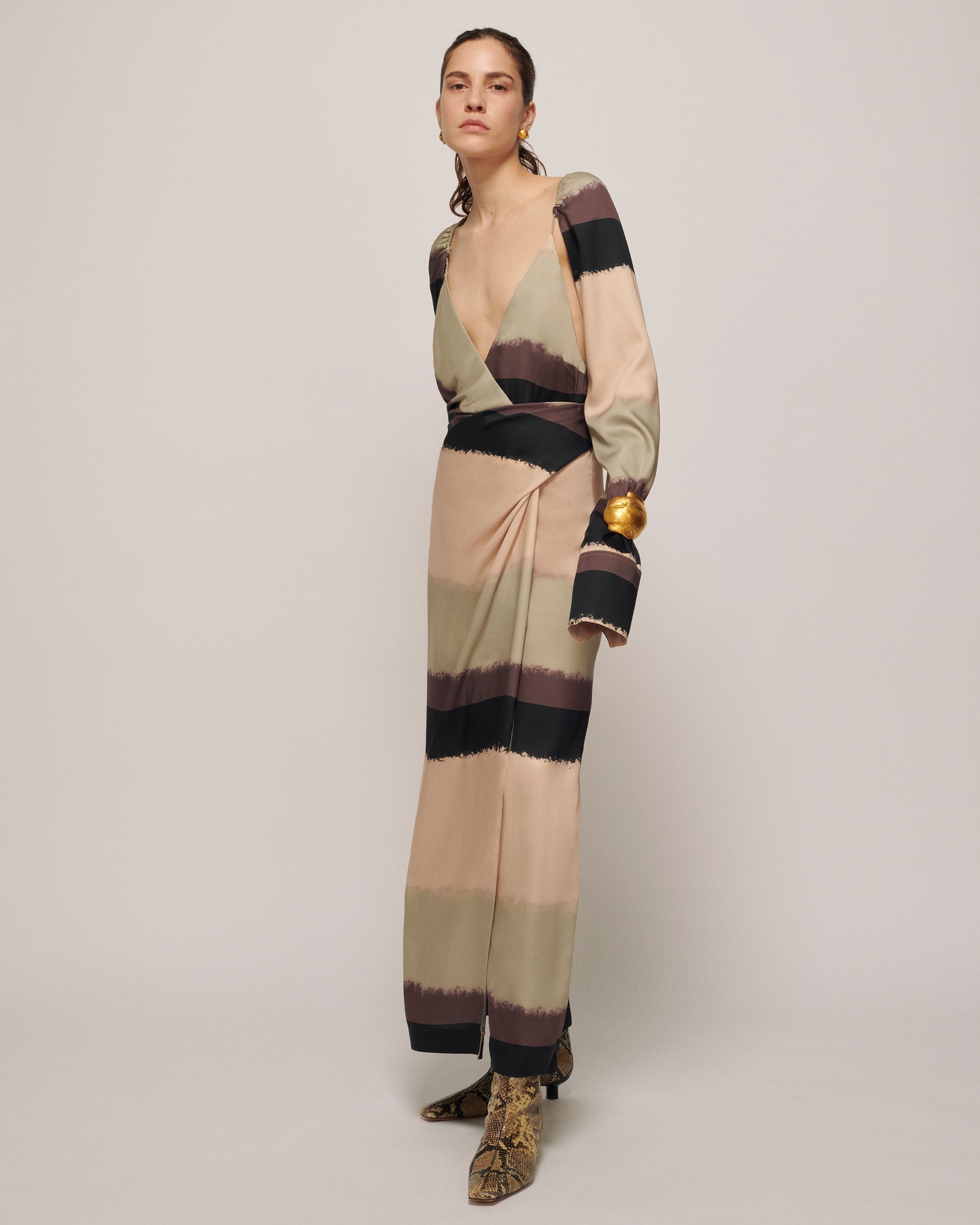 Silk Dress - 2