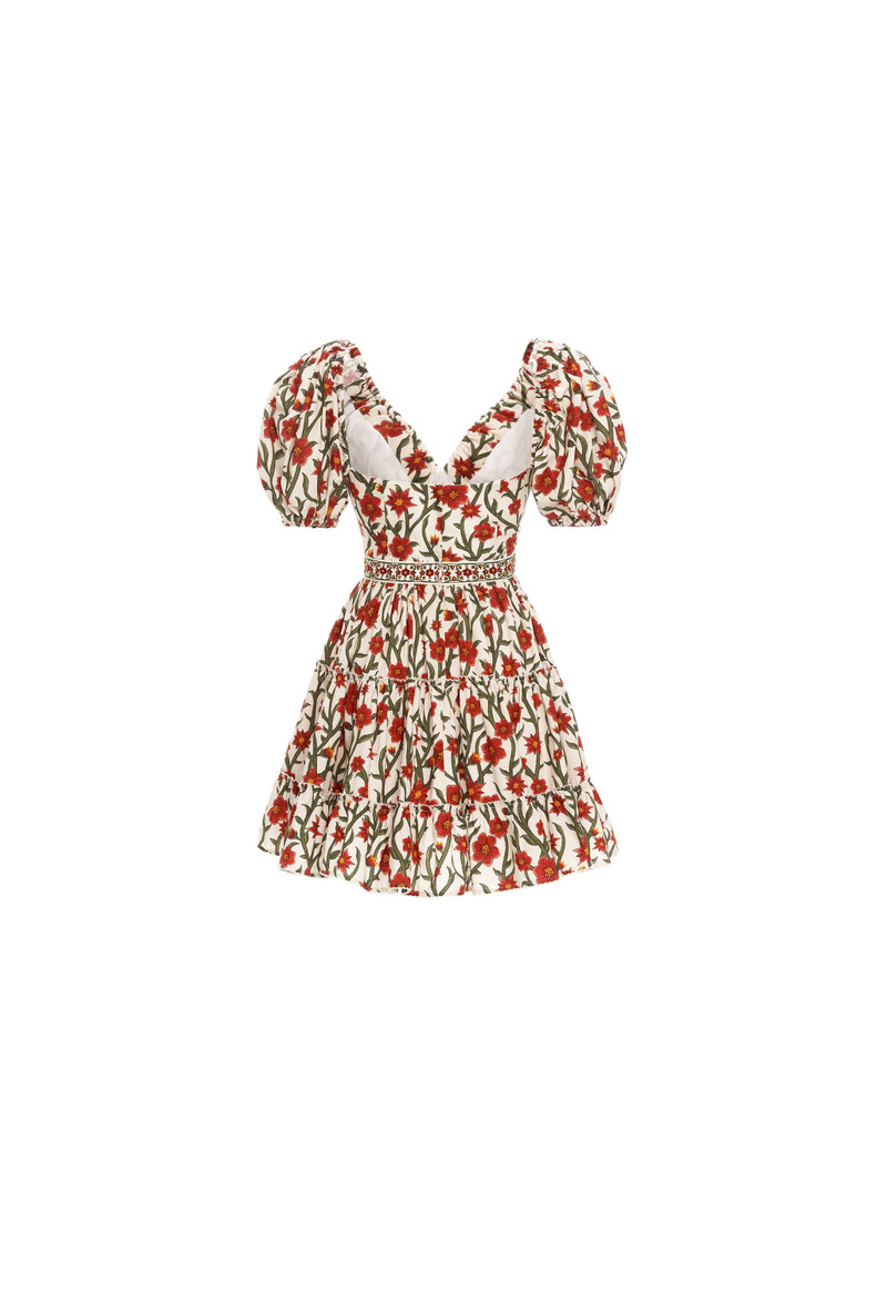 Manzanilla Mandevilla Mini Dress 3
