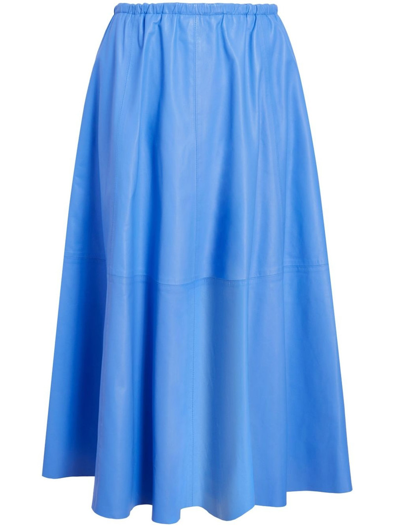 Cece midi skirt 1
