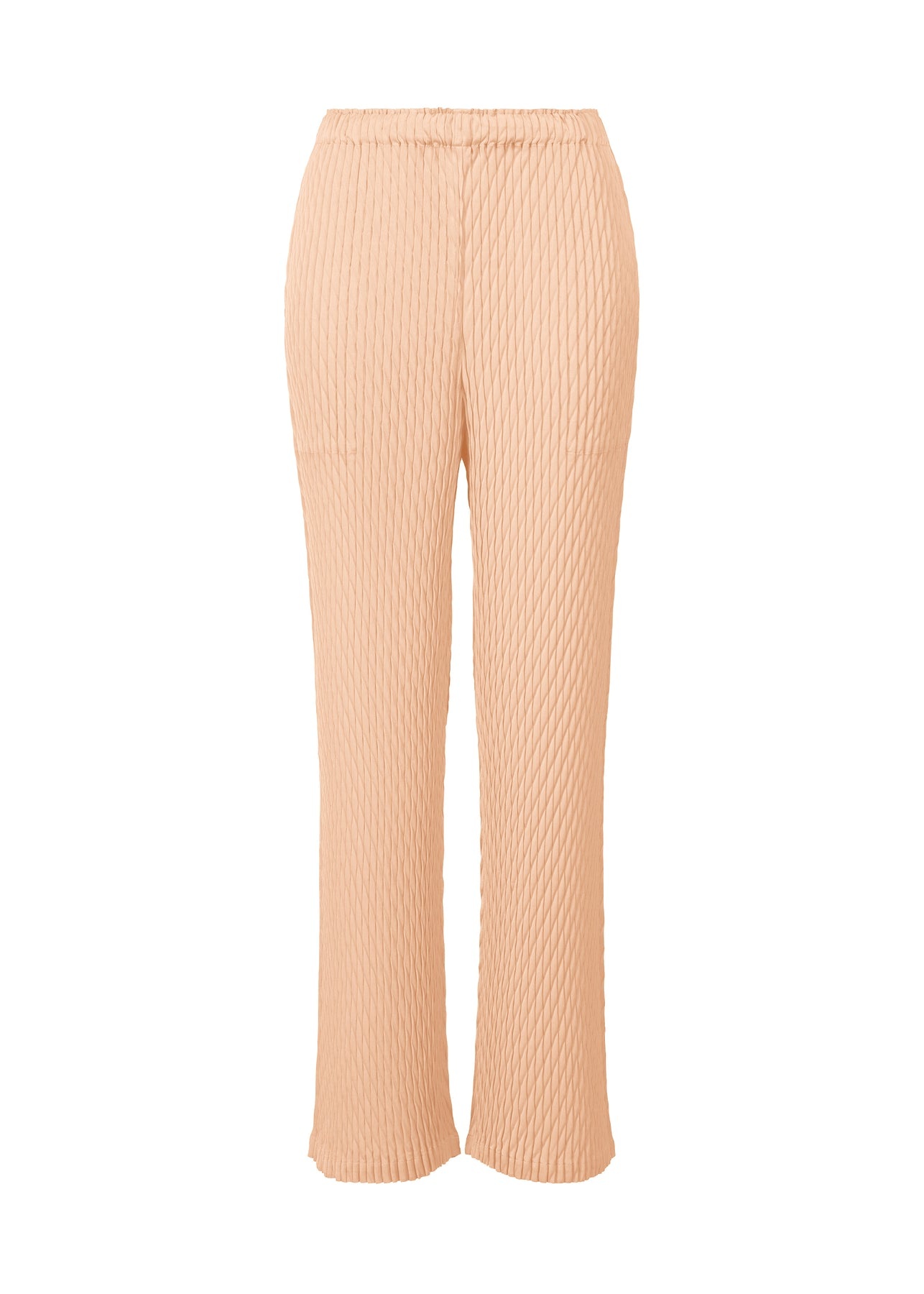 DIFFUSED PLEATS PANTS - 1