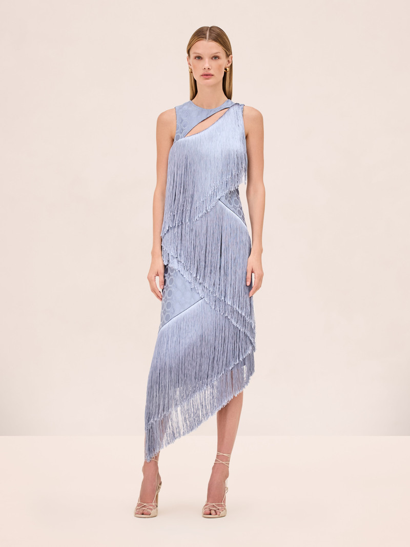 ALEXIS COSTA DRESS outlook