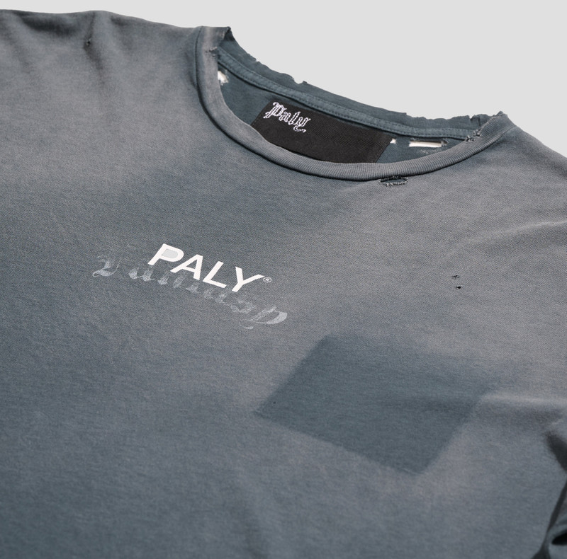 Paly CORE LOGO TEE outlook