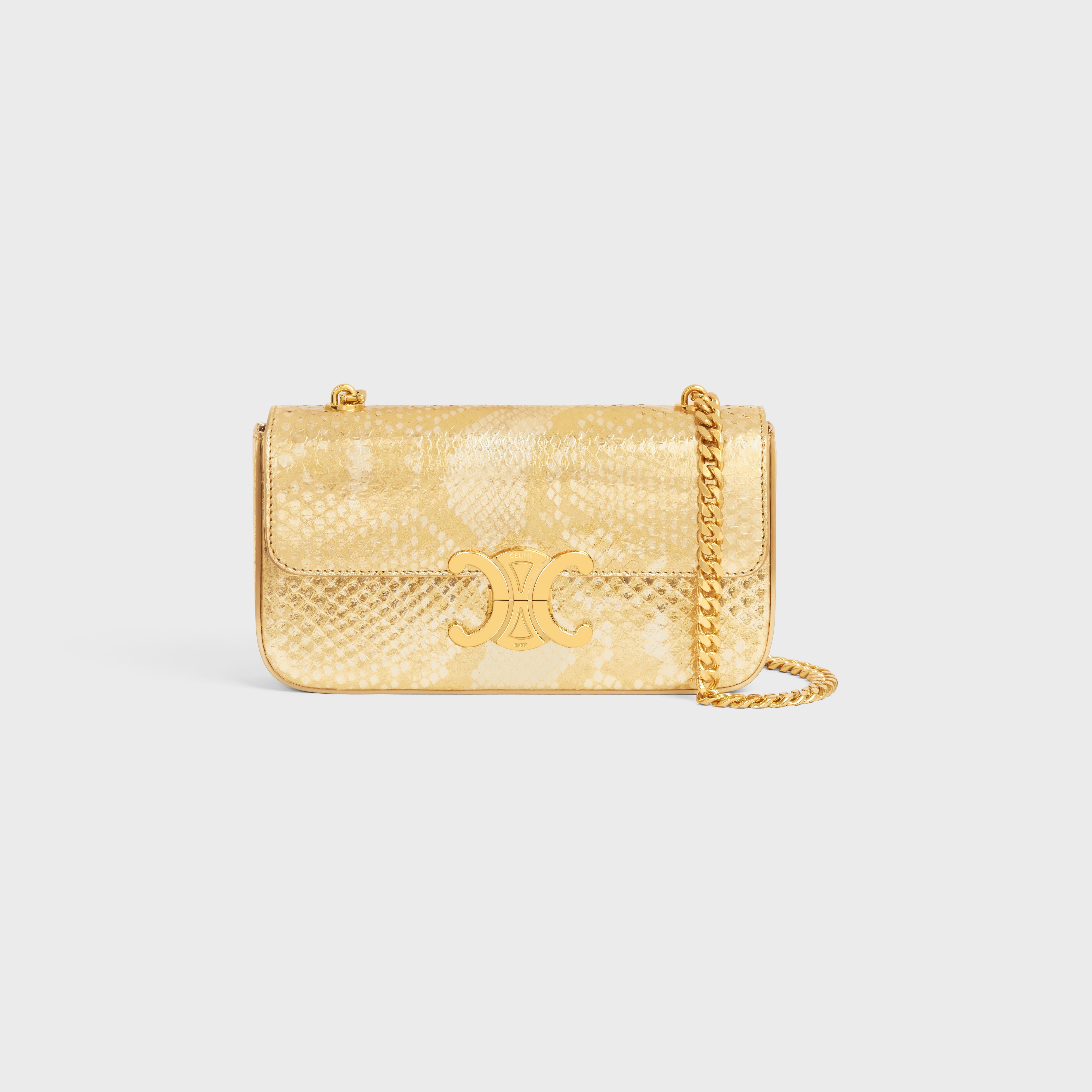 CHAIN SHOULDER BAG triomphe in PYTHON - 1