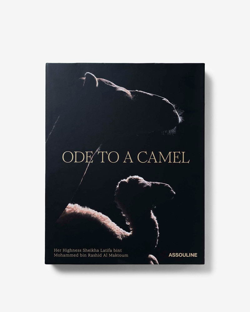 Ode to a Camel 5