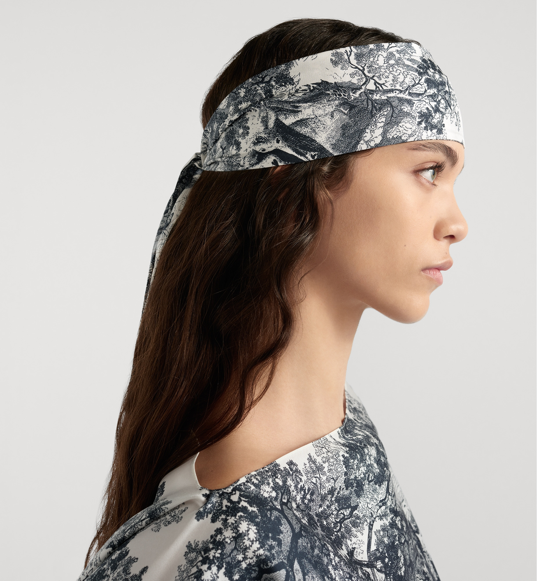 Dioriviera Maxi Toile de Jouy Sauvage Mitzah Scarf - 3