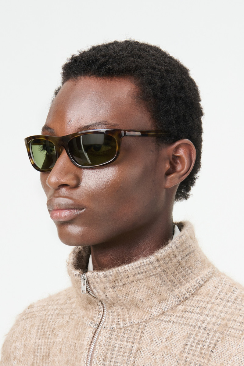 Shelter Venice Beach Turtle 5