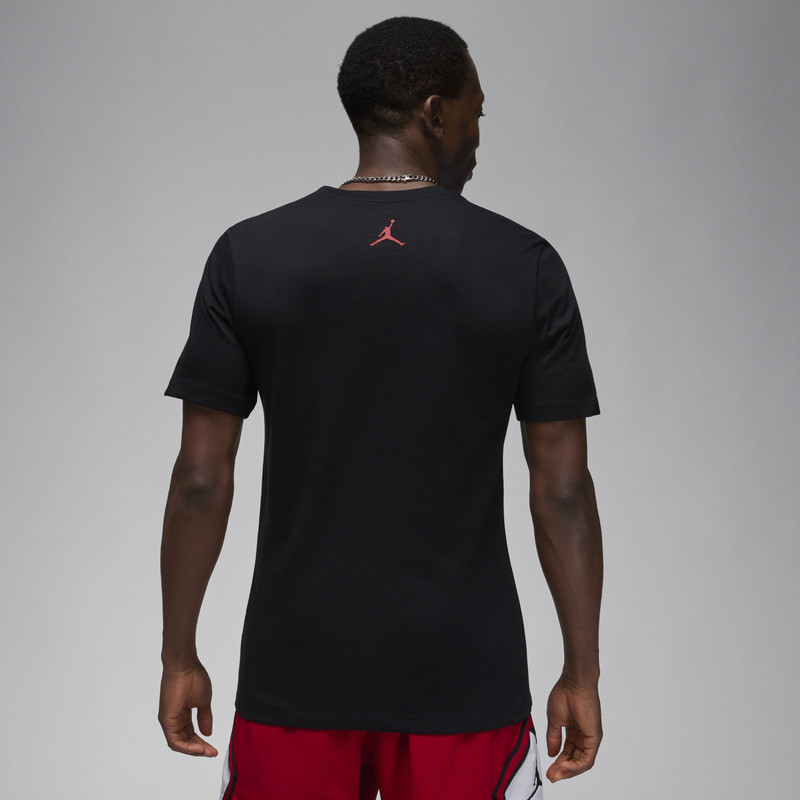 Jordan Men's Jordan Sport Dri-FIT Graphic T-Shirt outlook