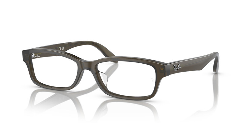 RB5415 OPTICS 1