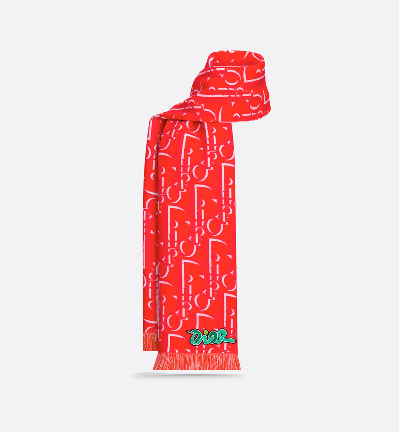DIOR AND KAWS Scarf 1