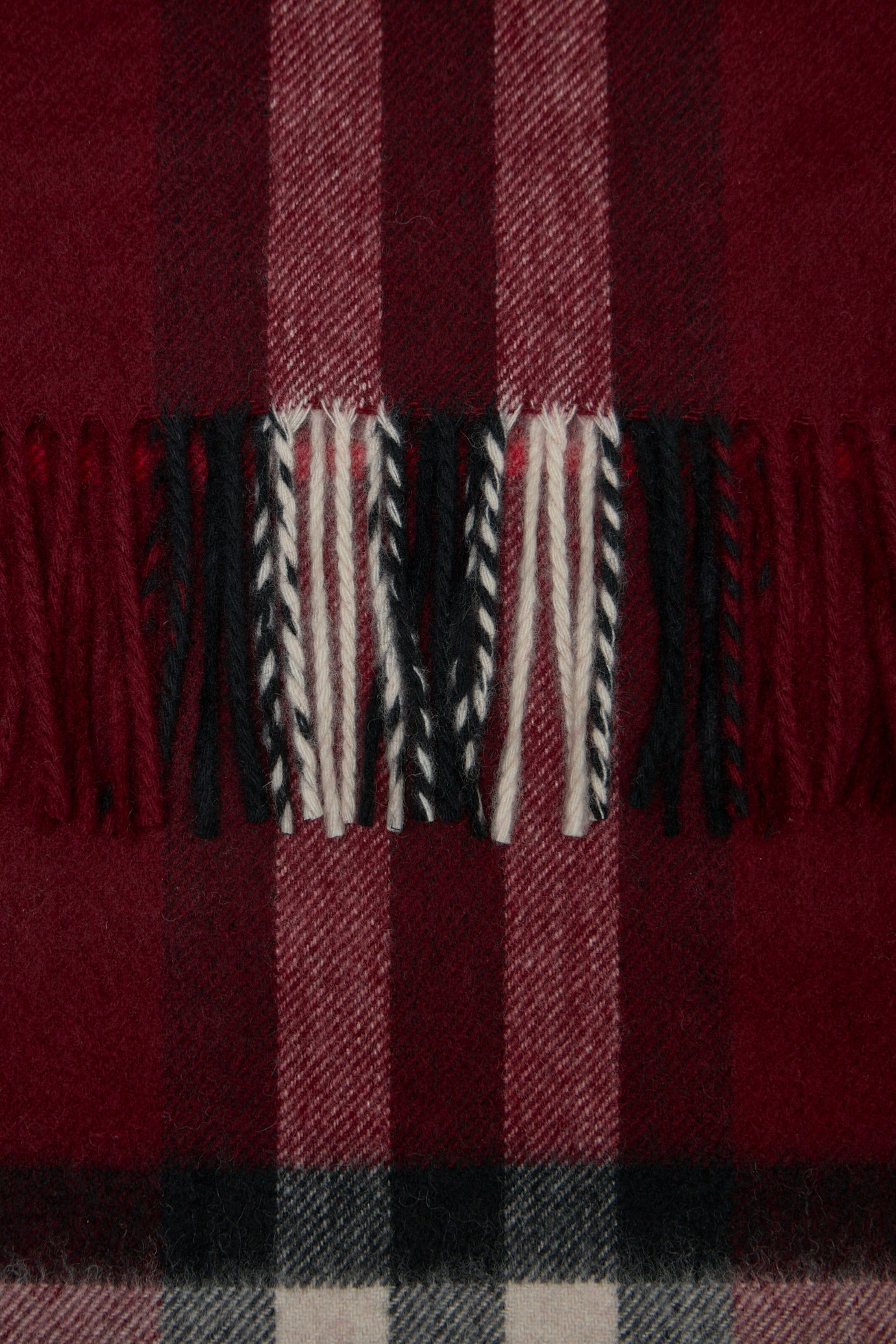 Checked Fringed-Edge Scarf - 3