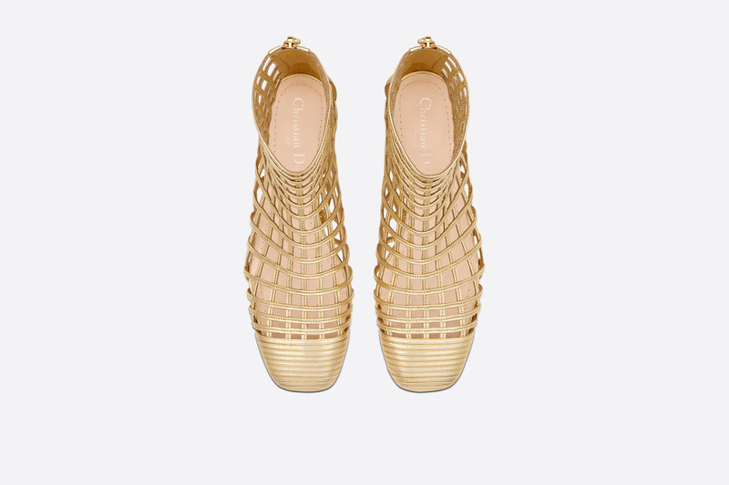 Dior Oracle Ankle Boot 4