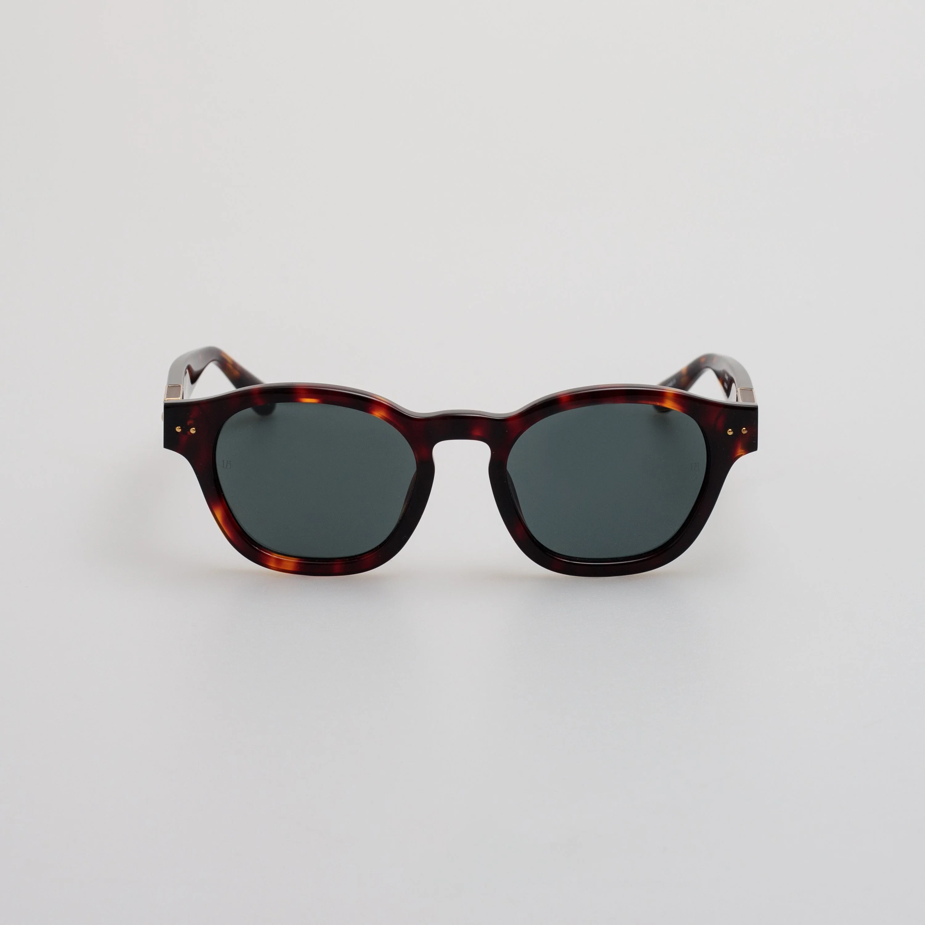 Talbot Sunglasses in Tortoiseshell - 1