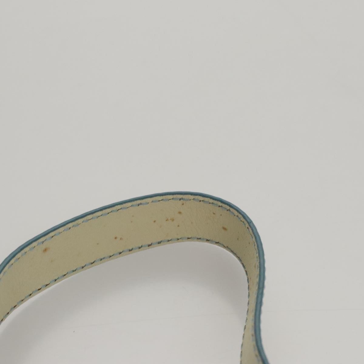 CELINE C Macadam Canvas Shoulder Bag Light Blue - 8