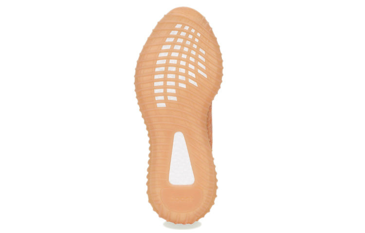 adidas Yeezy Boost 350 V2 'Mono Clay' GW2870 - 5