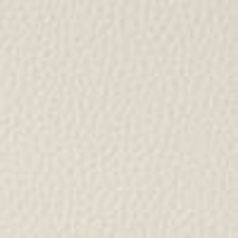 India 10.00 Bag in Leather 6