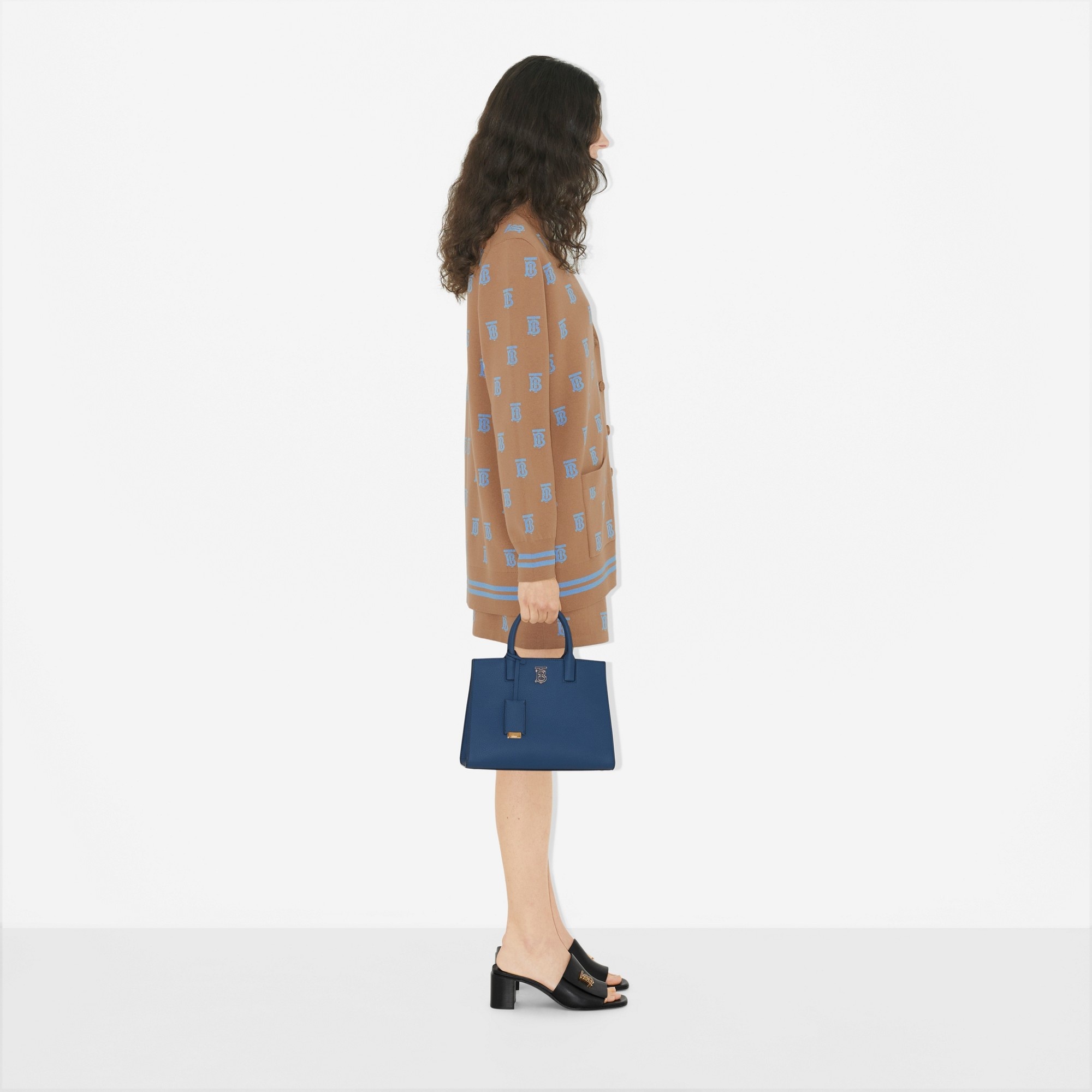 Grainy Leather Mini Frances Bag 4