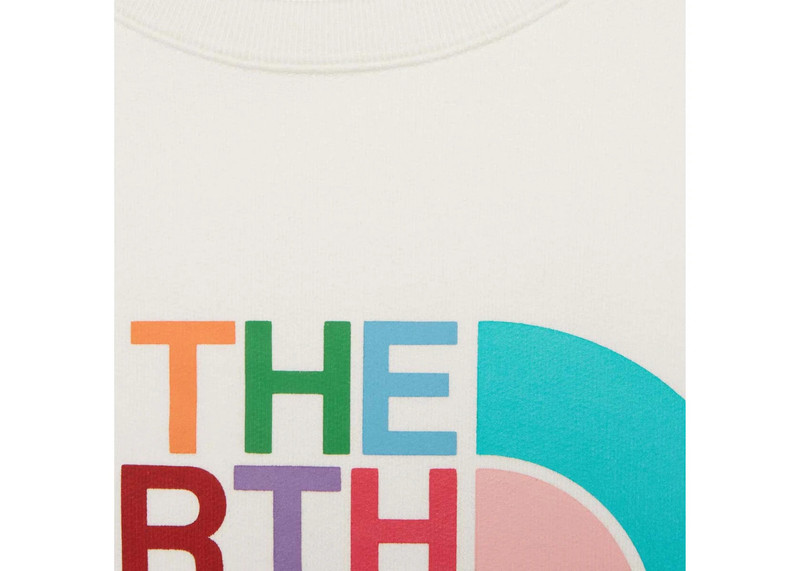 GUCCI Gucci x The North Face Sweatshirt Ivory/Multicolor outlook