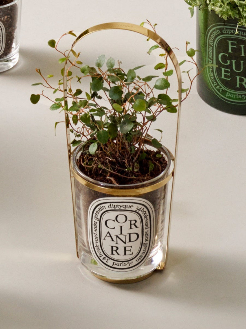The Nomad - Second-life Accessory for empty candle jar 4