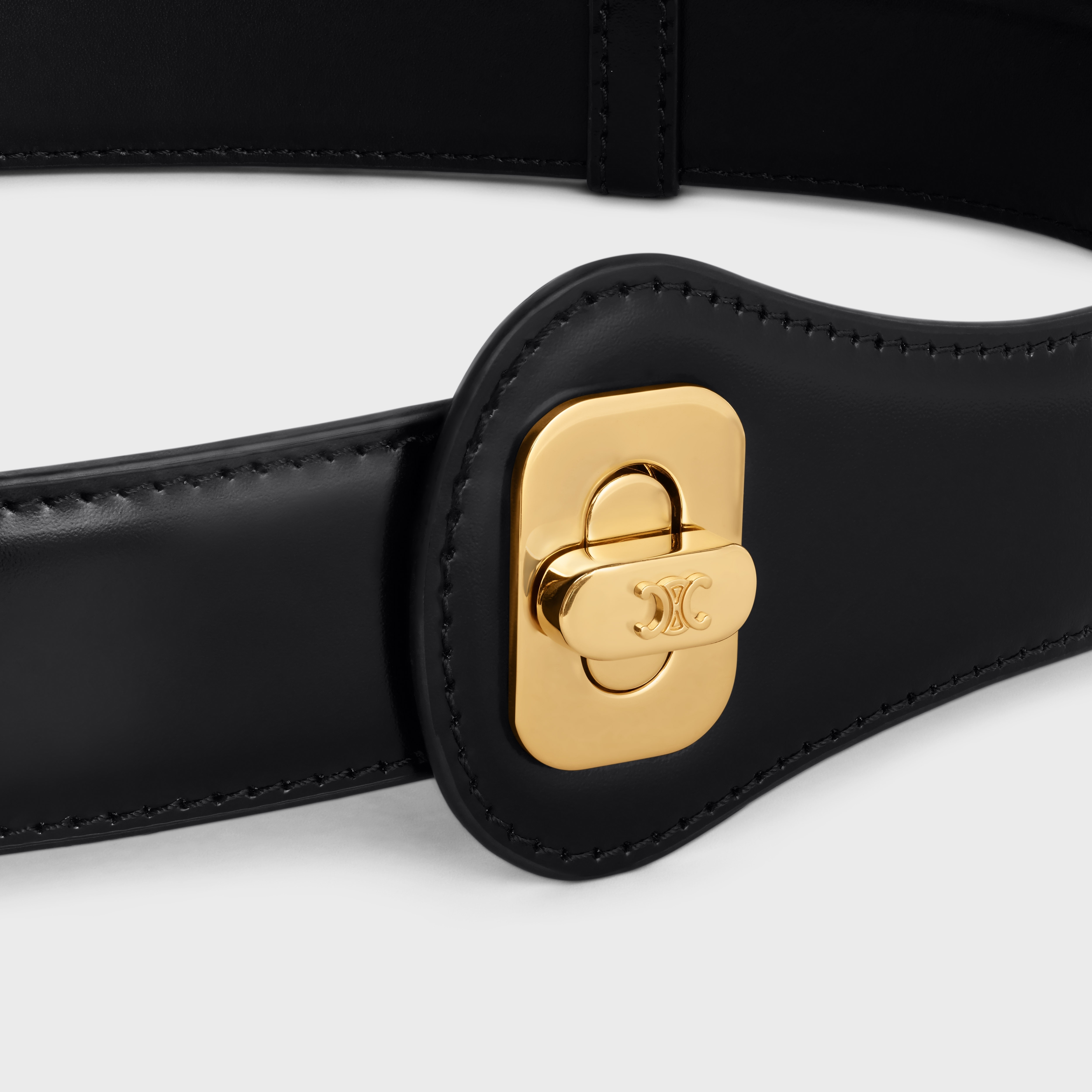 CELINE JOSEPHINE BELT LARGE MODEL IN Taurillon Leather - 4