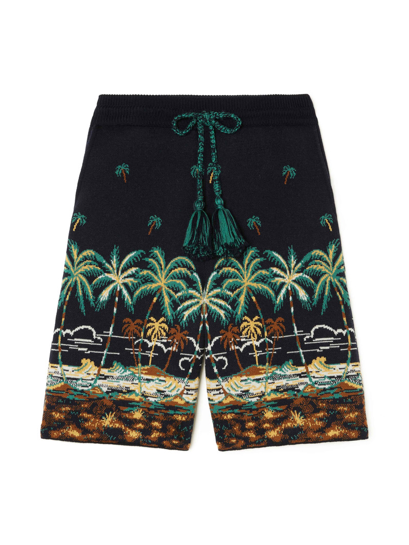 The Tale Of A Hawaiian Shorts 1