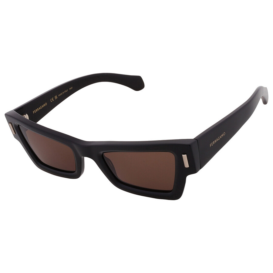 Ferragamo Brown Cat Eye Ladies Sunglasses SF2006S 001 53 - 3