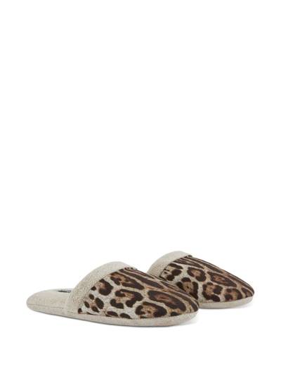 Dolce & Gabbana leopard-print terry slippers outlook
