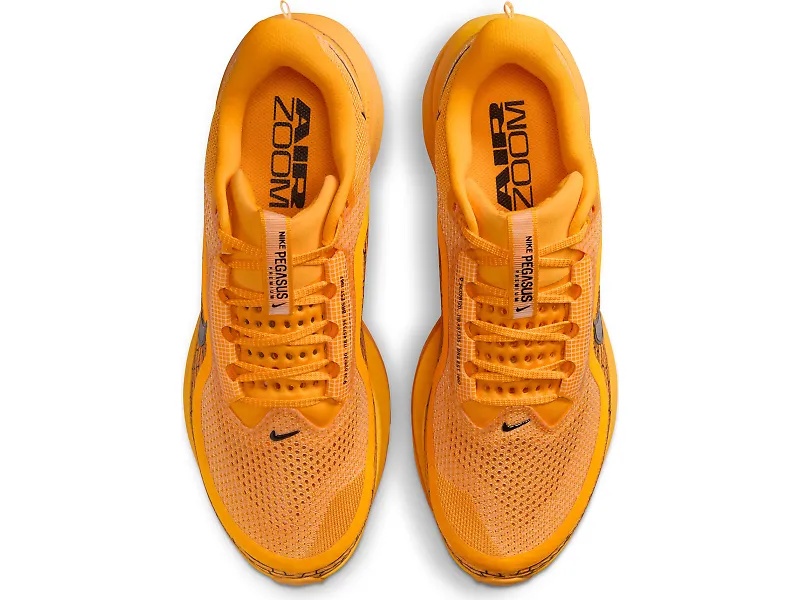 Nike Pegasus Premium - 3