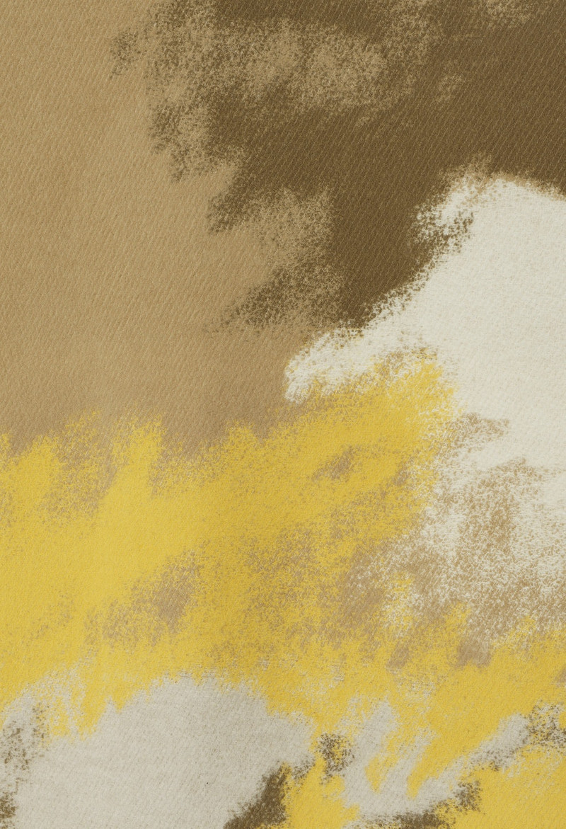 CHATEAU CASHMERE BLEND BLANKET 6