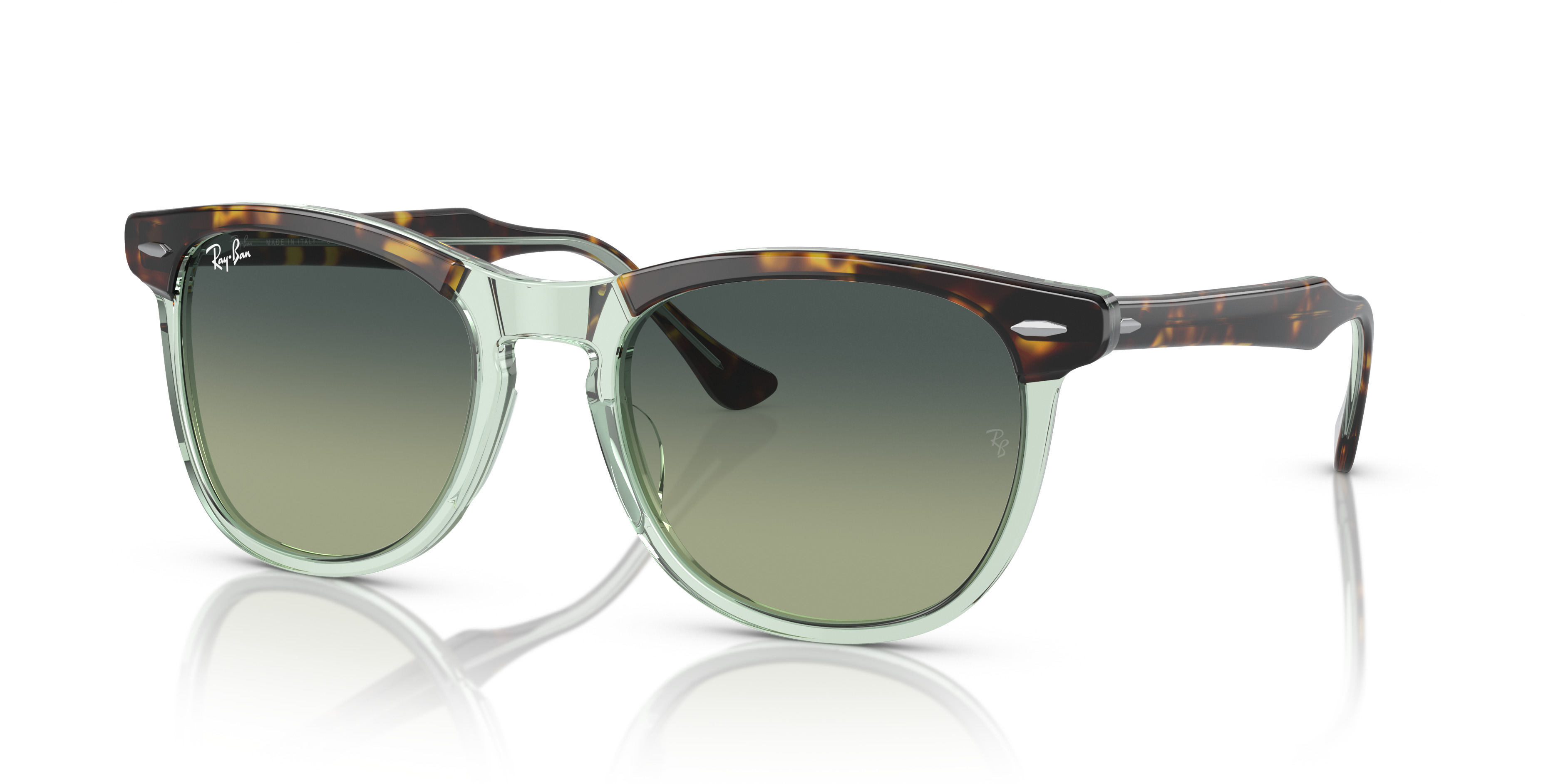 RB2398 Eagle Eye - 1