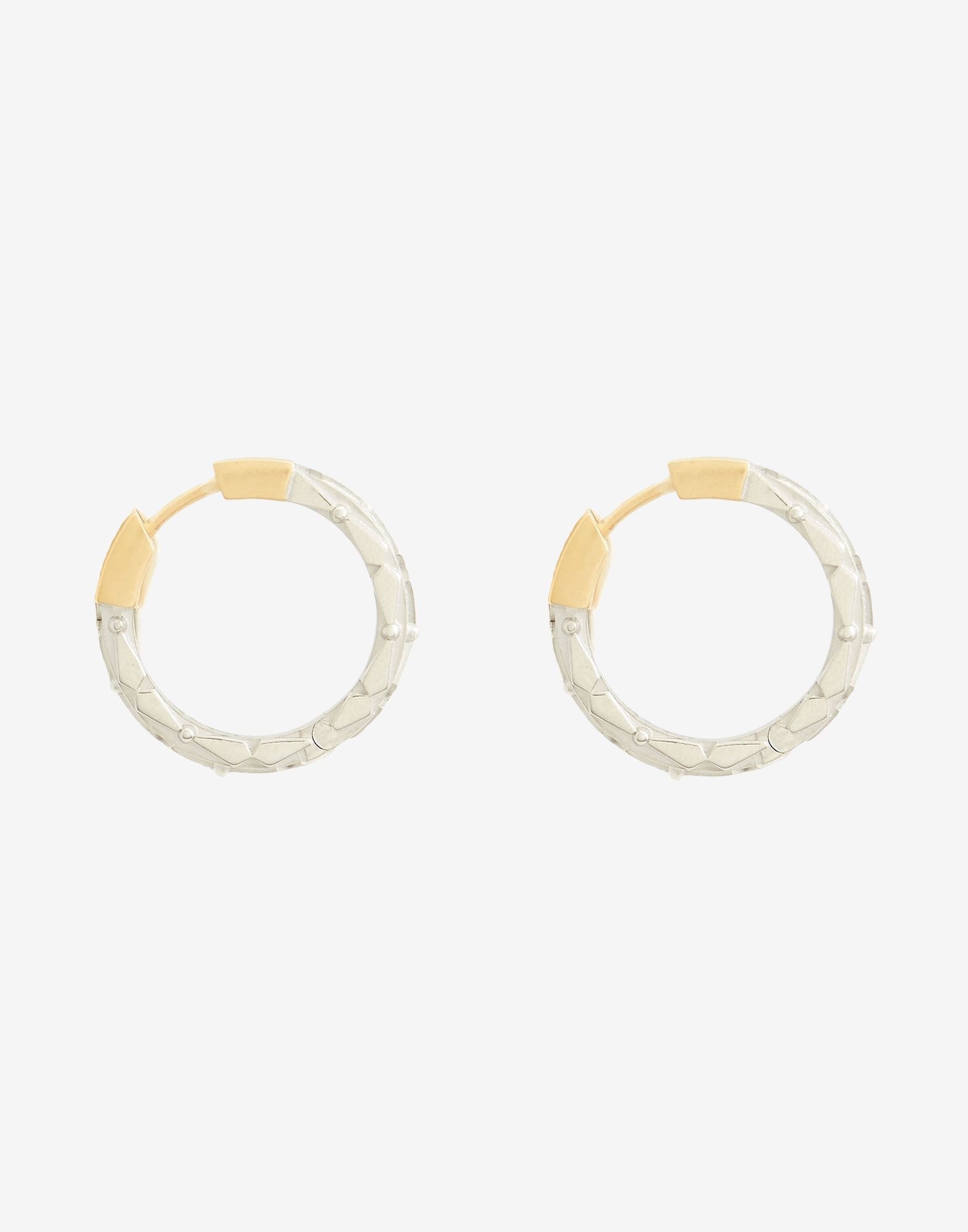 Two-tone earrings - 2
