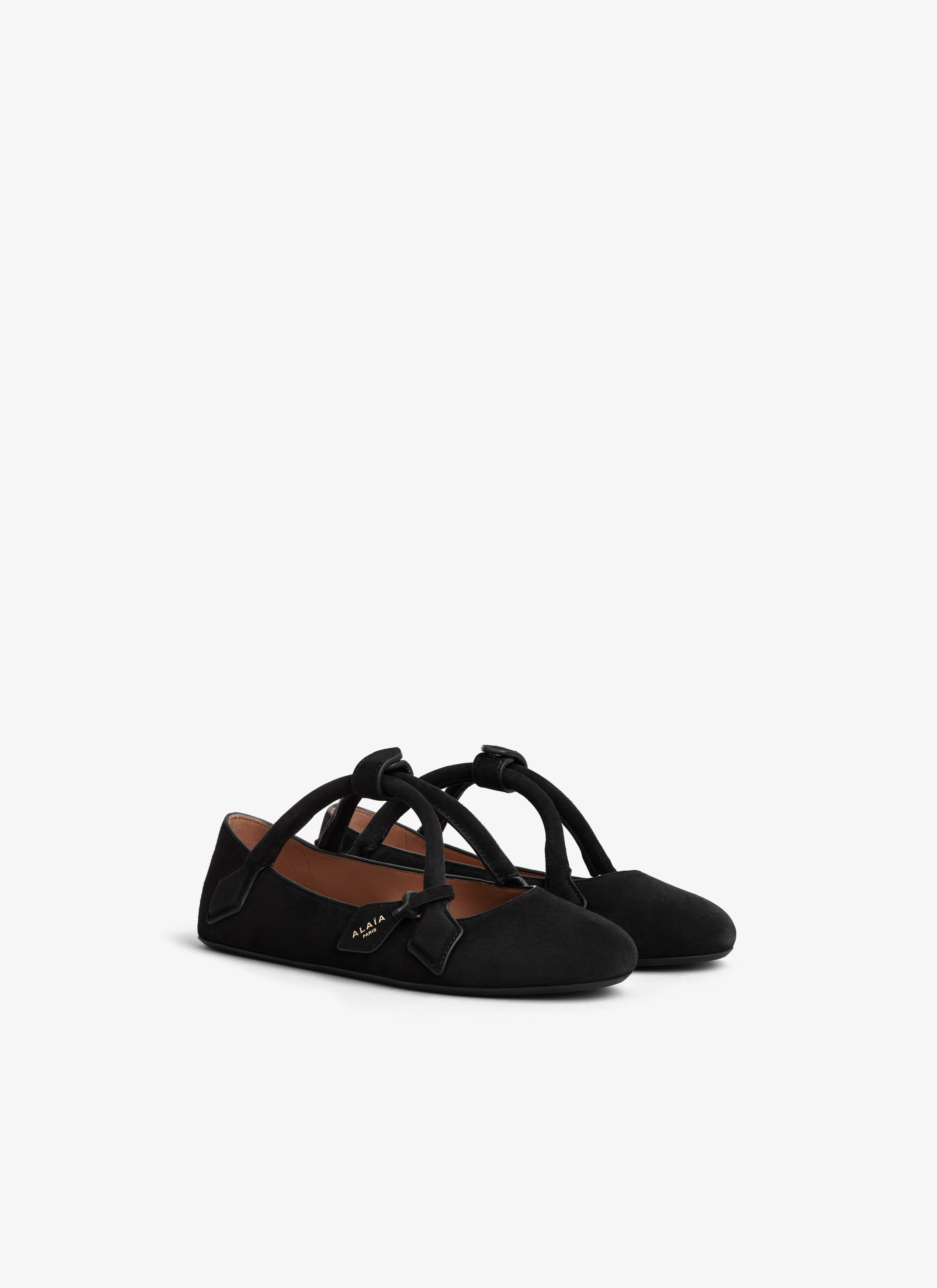 LE TECKEL BALLET FLATS IN SUEDE GOATSKIN - 3