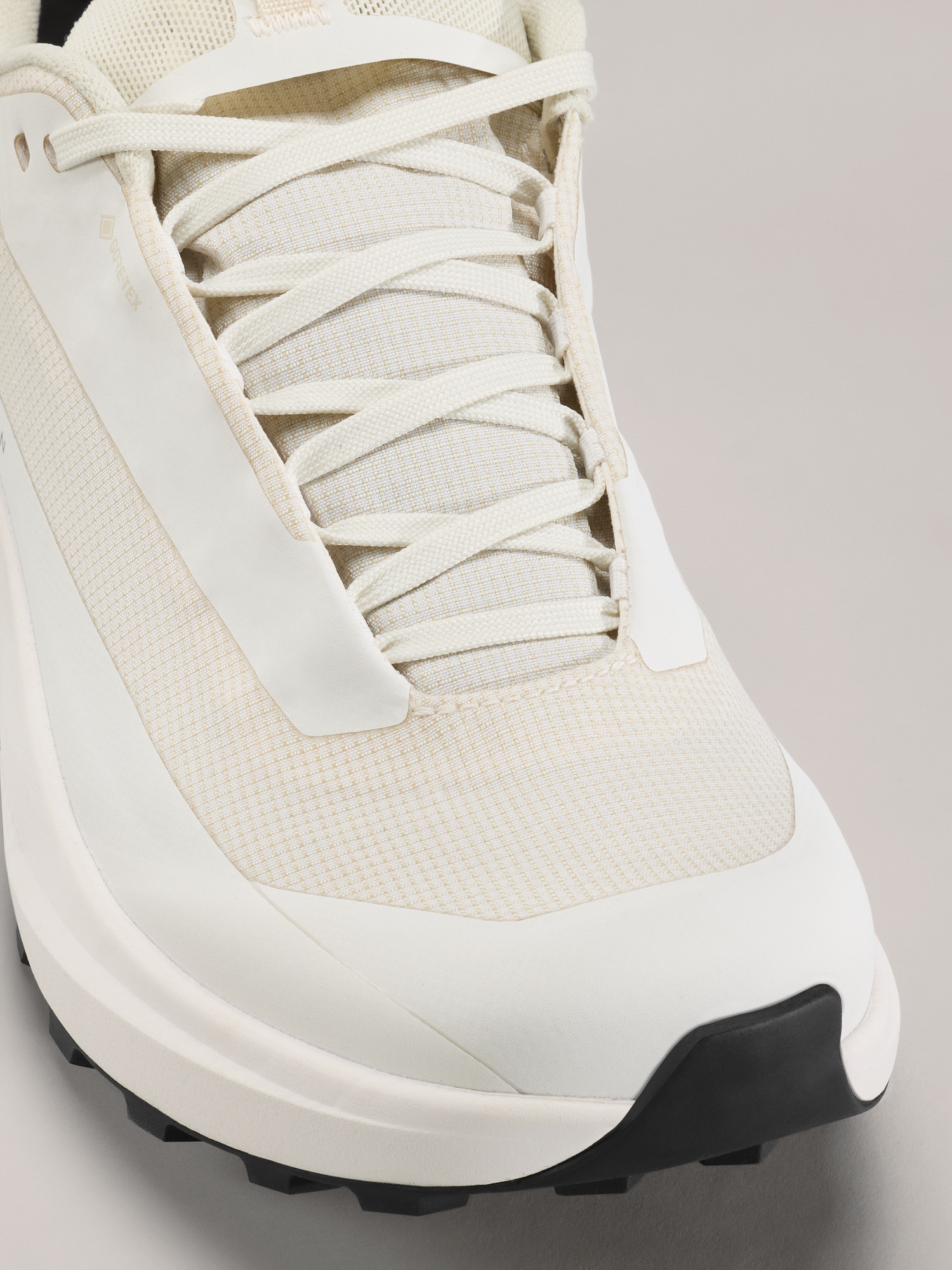 Norvan LD 4 GTX Shoe - 2